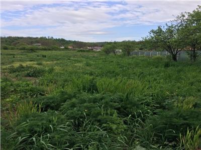 Teren 2700 mp  de vanzare Filipesti