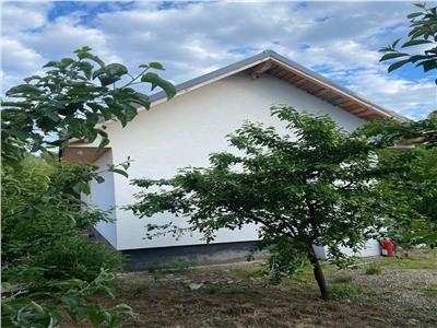 CASA DE VANZARE +TEREN IN FILIPESTI ONESTI