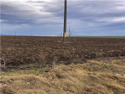 Teren pentru business 6300 MP Bucium la strada principala