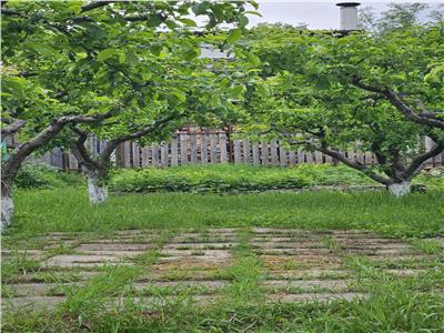 Casă de vanzare Filipesti  liniște verdeata si un loc numit acasa