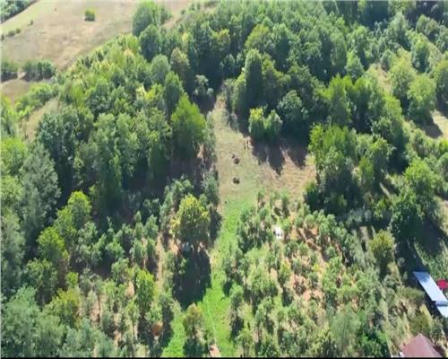 Teren intravilan + extravilan 10.537 mp  casa, livada sau ferma de familie