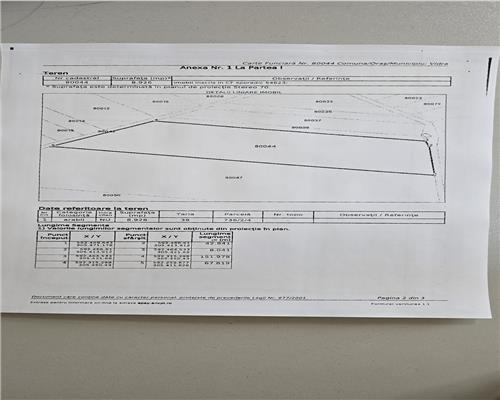 TEREN EXTRAVILAN DE VANZARE  VIDRA