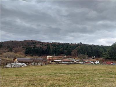 Teren de vanzare in Slanic Moldova